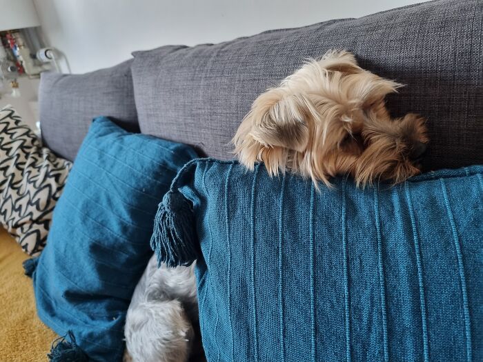 Looking For Me? Just Chiling Part 4....yes, I Chil A Lot