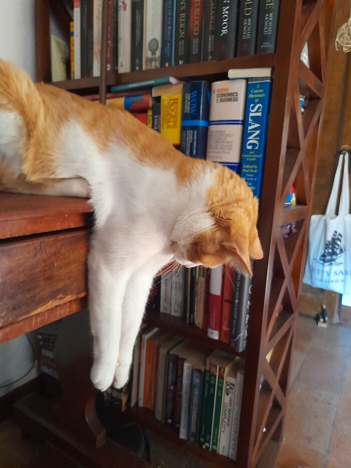 He Says He's Comfortable