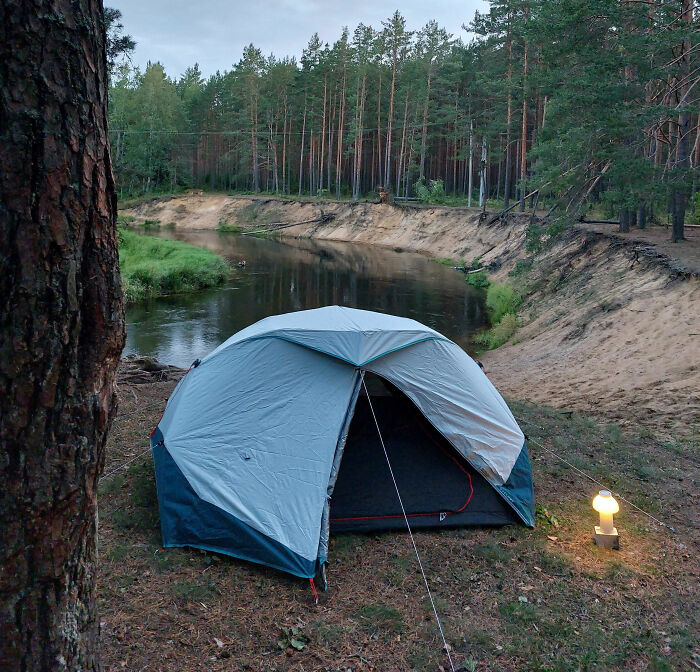 Camping In The Woods