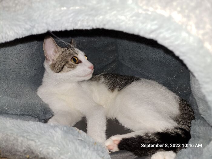 Hilda (Aka Hilda Matilda, Hildy Matildy) Chilling In Her Cave