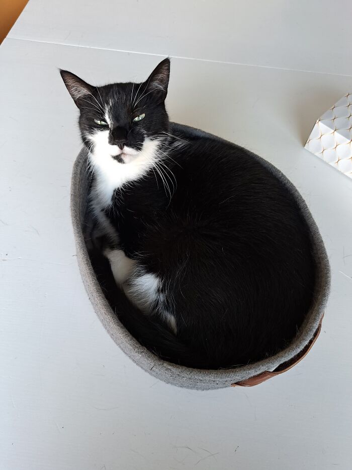 Her Favourite Place To Sleep