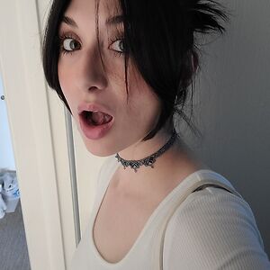 palomapinto-haynes avatar