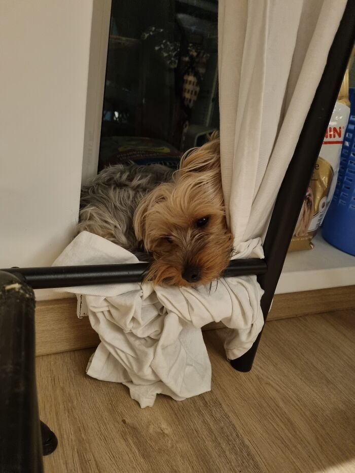 Looking For Me? Just Chiling Part 3