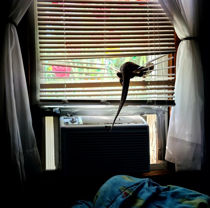 Woke Up To Hafte Doing This