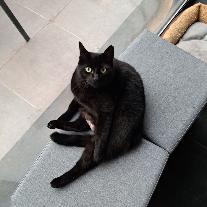 No Thoughts, Head Empty