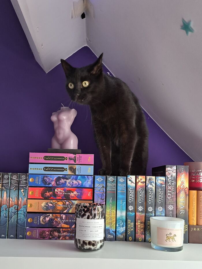 Why Is She Like This?