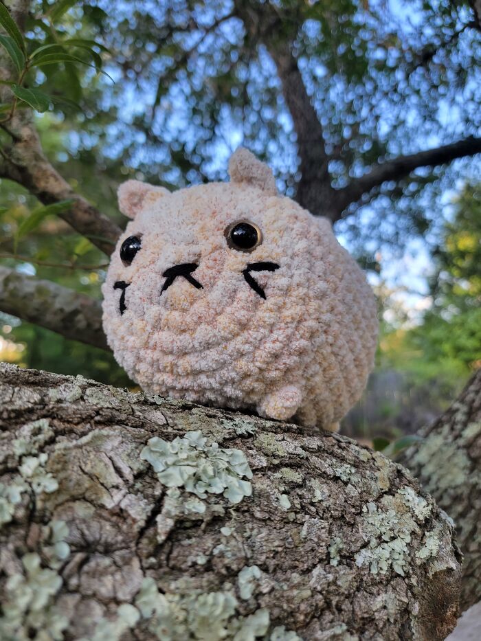 I Made These Crochet Pieces