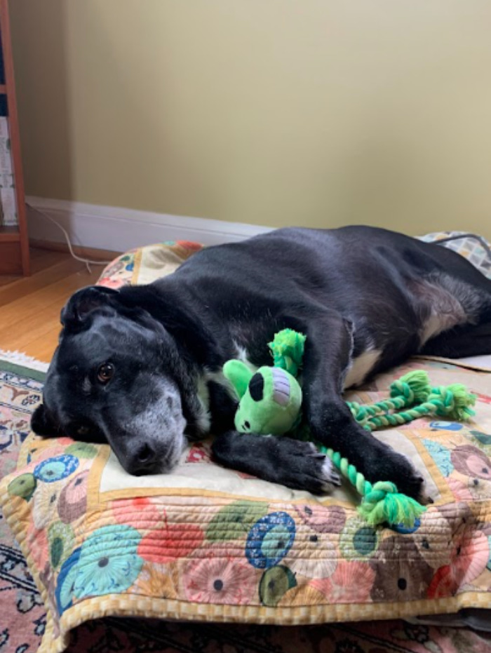 She's Sleepy Right Now