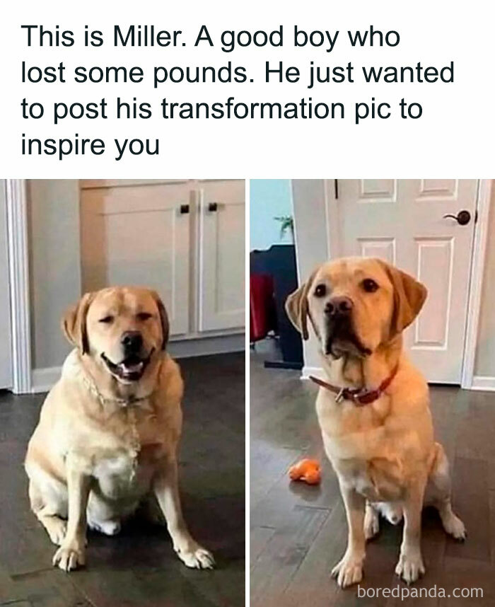 Miller’s Weight Loss Journey