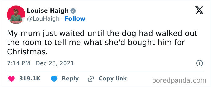 A dog meme featuring a tweet by Louise Haigh. The tweet reads, "My mum just waited until the dog had walked out the room to tell me what she'd bought him for Christmas." The tweet humorously highlights the way some people treat their pets like family members who understand holiday secrets.