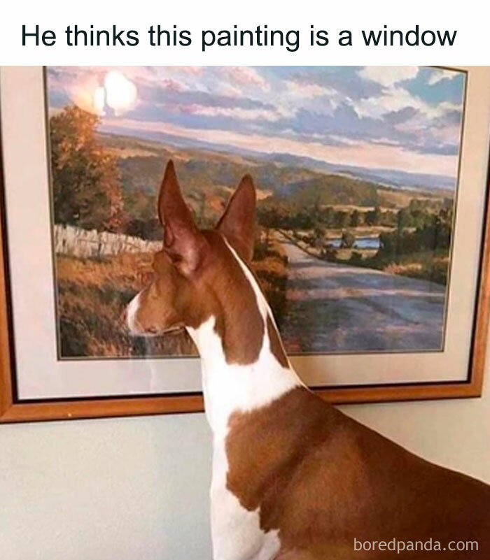 A dog meme featuring a dog with upright ears looking intently at a landscape painting on the wall. The text above the image reads, "He thinks this painting is a window," humorously suggesting the dog is confused by the painting's realistic depiction of an outdoor scene.