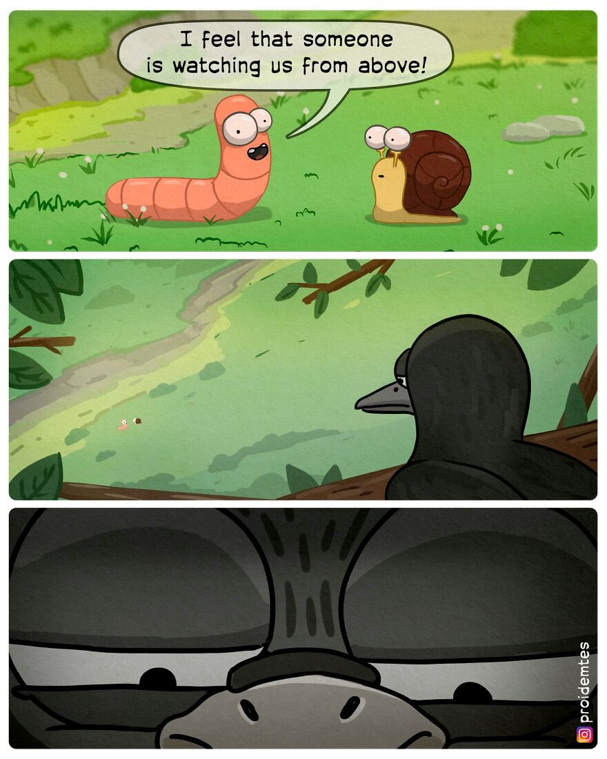 Worm and a snailare being wathed by the bird