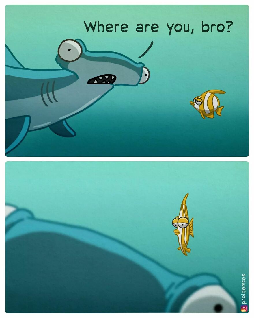 A thin fish is not visible for the hammerhead shark