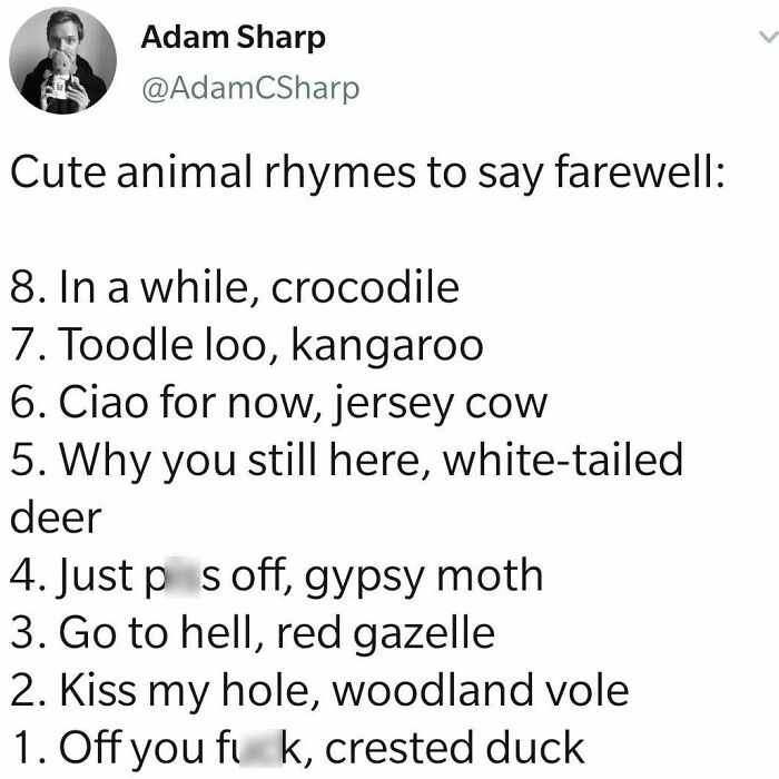 Funny-Cheerful-Nihilism-Memes