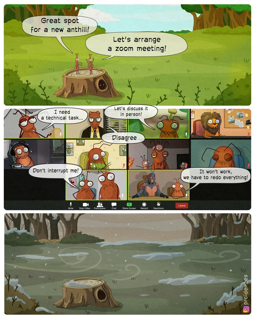 Ants on the zoom call