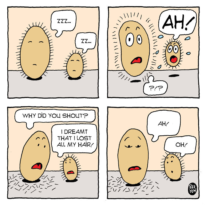Inspired By Quirky Life Events, I Created The &ldquo;2 Hairy Potatoes&rdquo; Comic Series