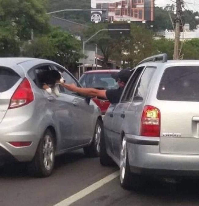 A dog meme showing a man in one car reaching out to pet a dog sitting in the window of another car while both vehicles are stopped in traffic. The humorous scene captures a spontaneous and heartwarming moment of affection between the man and the dog, highlighting the universal love for dogs.