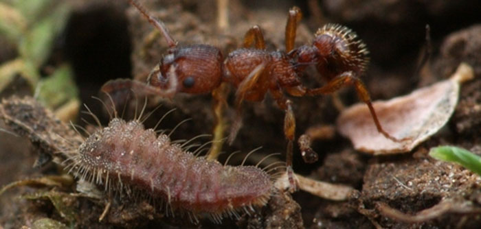 People Share 30 "Genuinely Terrifying" Facts