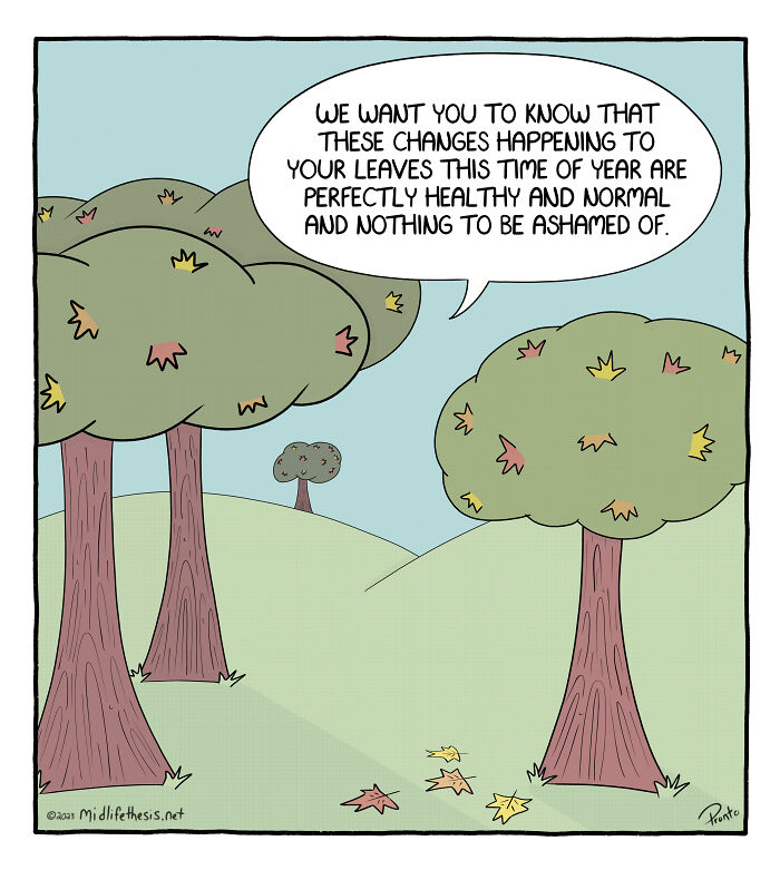 25 Single Panel Cartoons From The "Midlife Thesis" Comic Strip Series