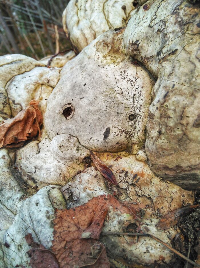 An image of an object that looks like it's smiling