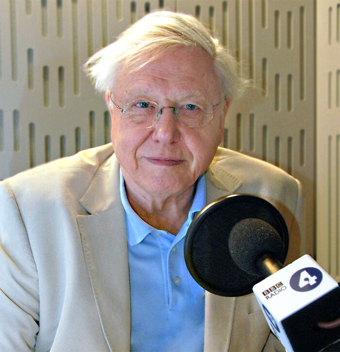 Nature Documentary Fans Are Excited To Hear 97 Y.O. David Attenborough Is Making A Return On BBC