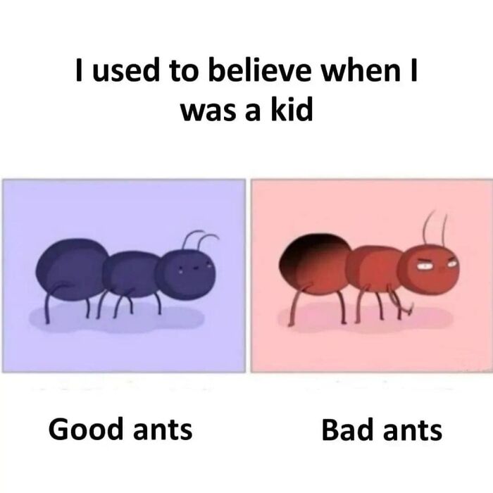 Hilarious-Brainy-Memes