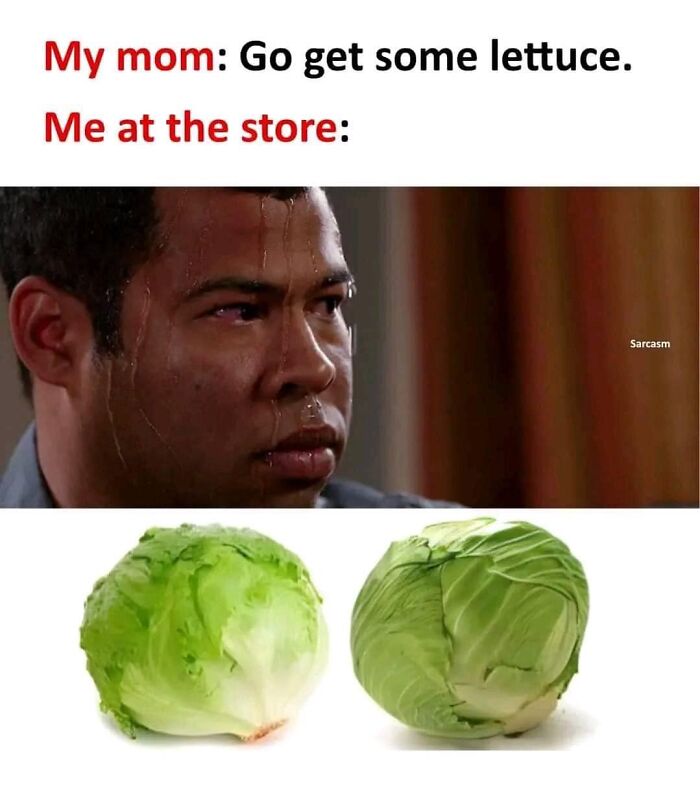 Hilarious-Brainy-Memes