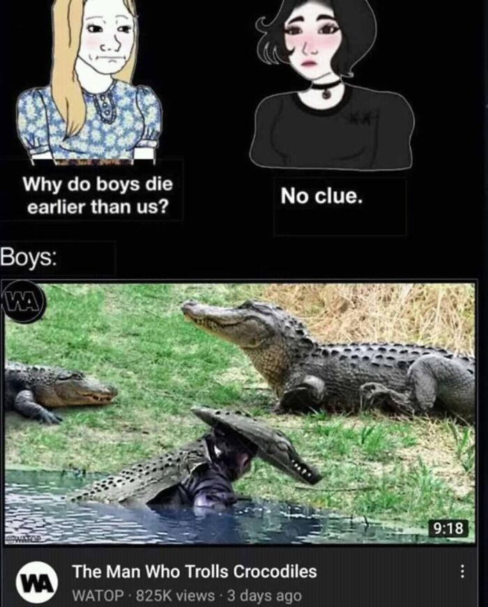 Hilarious-Brainy-Memes