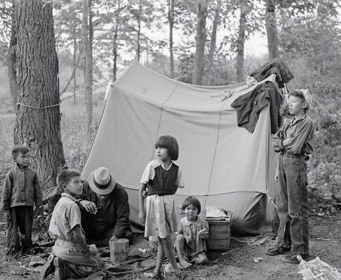 Blueberry Pickers, Near Little Fork, Minnesota, 1937
