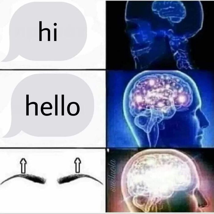 Hilarious-Brainy-Memes