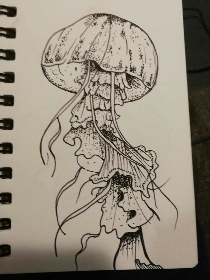Jellyfish