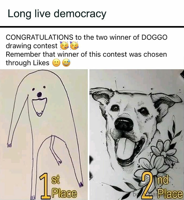 Dog drawing contest meme showing first and second place winners with funny illustrations.