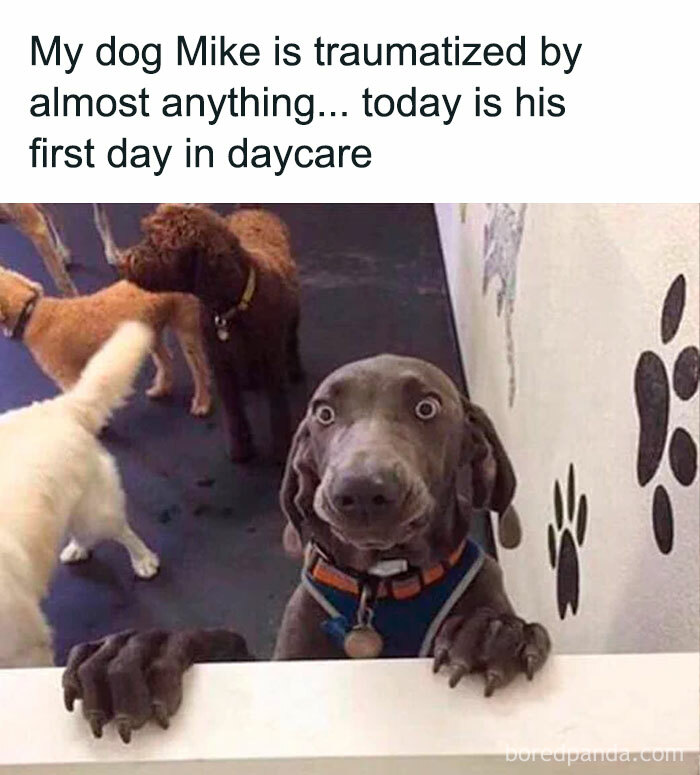 “He’s Probably Going to Skip the Next Visit”