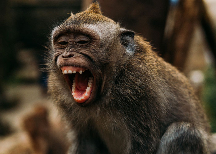 “Don’t Assume You Are The Average”: 45 People Discuss Things That Seem Safe But Actually Aren’t