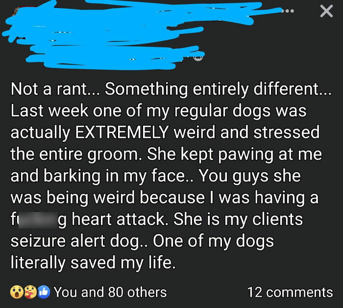 A Grooming Session Accidentally Turns into a Life-Saving Moment 