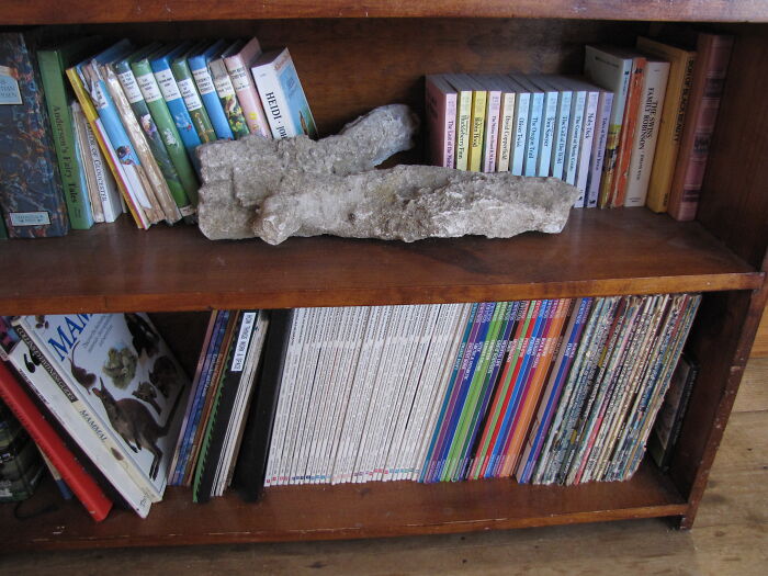 Fossilised Lightning (Aka Fulgurite). Hubby And I Like Rocks Of All Sorts. Our Two Kids Are Adults Now So They Don't Need The Extra Space On This Shelf!