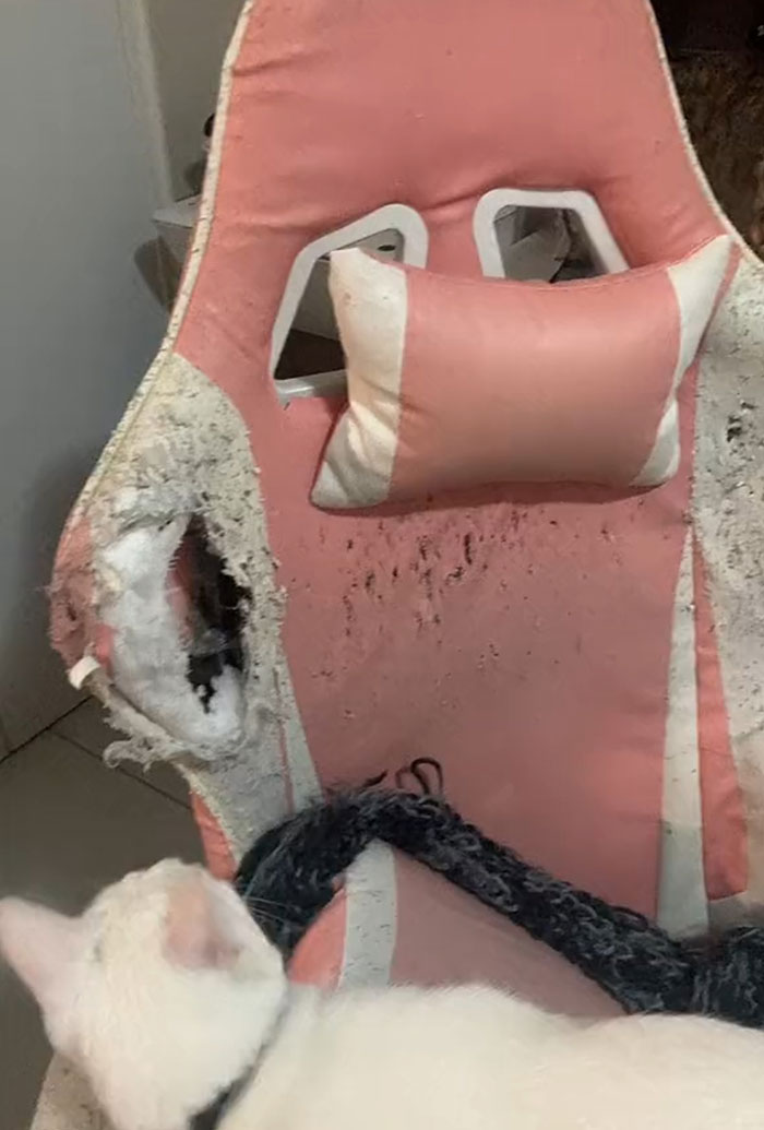 Worn-Out-Items-Trend