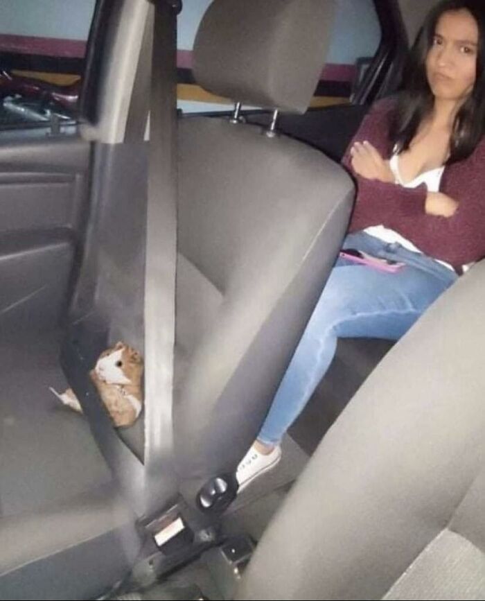 Weird-Pics-Outrebizarre