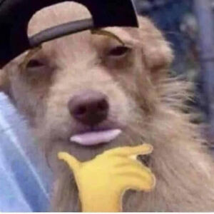 himeromiyeahlol avatar