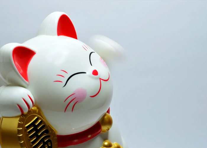 Girl Storms Out Embarrassed After Her Accusations Of Cultural Appropriation Turn Against Her