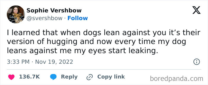  A dog meme tweet by Sophie Vershbow, reading, "I learned that when dogs lean against you it’s their version of hugging and now every time my dog leans against me my eyes start leaking." The tweet expresses an emotional reaction to learning that dogs show affection by leaning against people, highlighting the deep bond between humans and their pets.