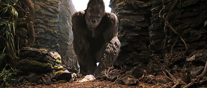 30 “I’m Sorry, What!?” Takes On Movies By People Who Missed The Point, As Shared Online