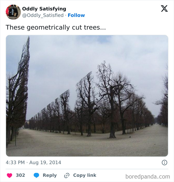 Twitter-Oddly-Satisfying-Pics