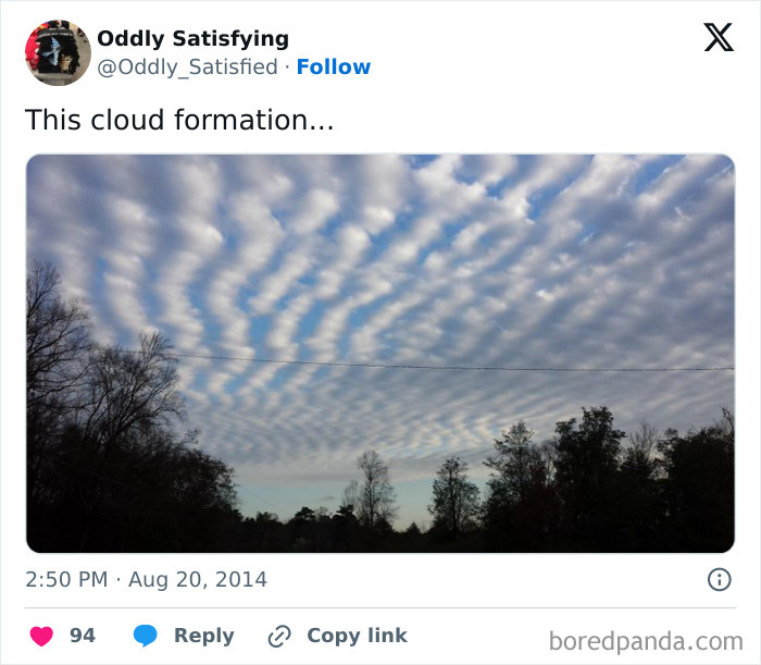 Twitter-Oddly-Satisfying-Pics