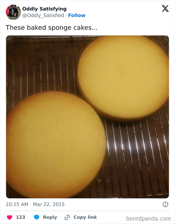 Twitter-Oddly-Satisfying-Pics