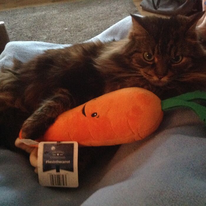 She Loves Her Carrot!