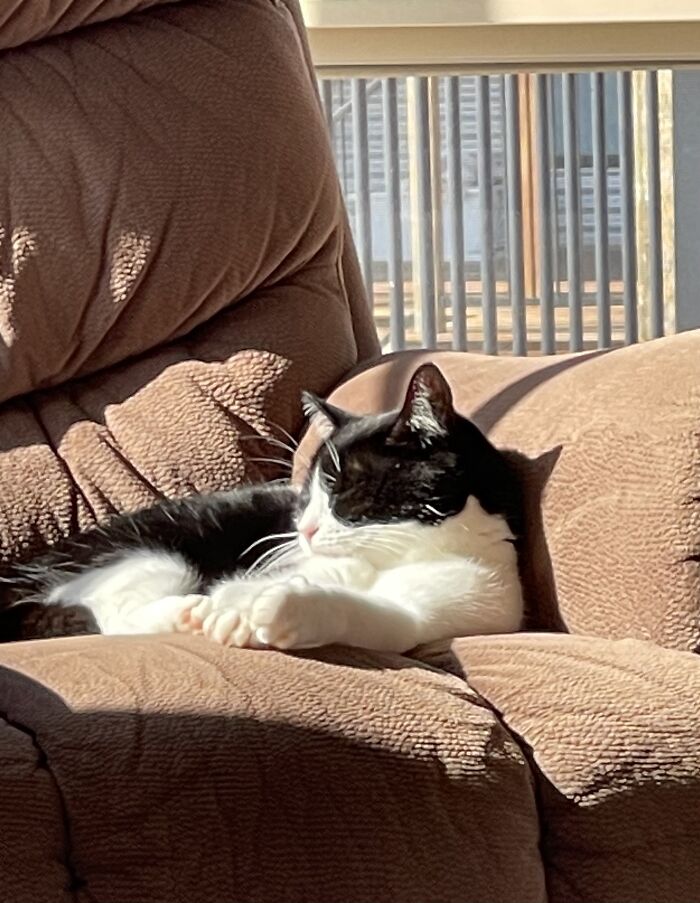 Good Morning Sunshine