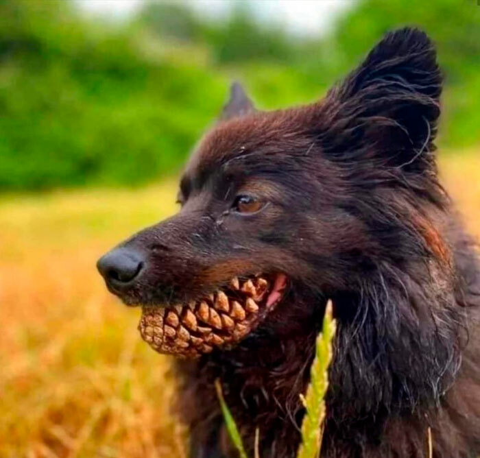 Not Mine, But I Love It