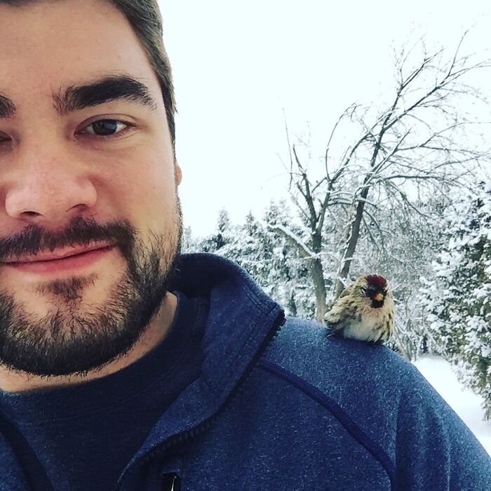 Little Bird Recued From Window Collision