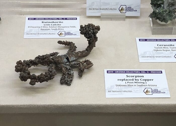 A Scorpion Found In A Mine That's Turned Into Copper Over Time